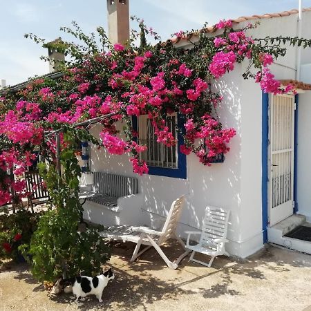 Finca La Joya Torreblanca Extérieur photo