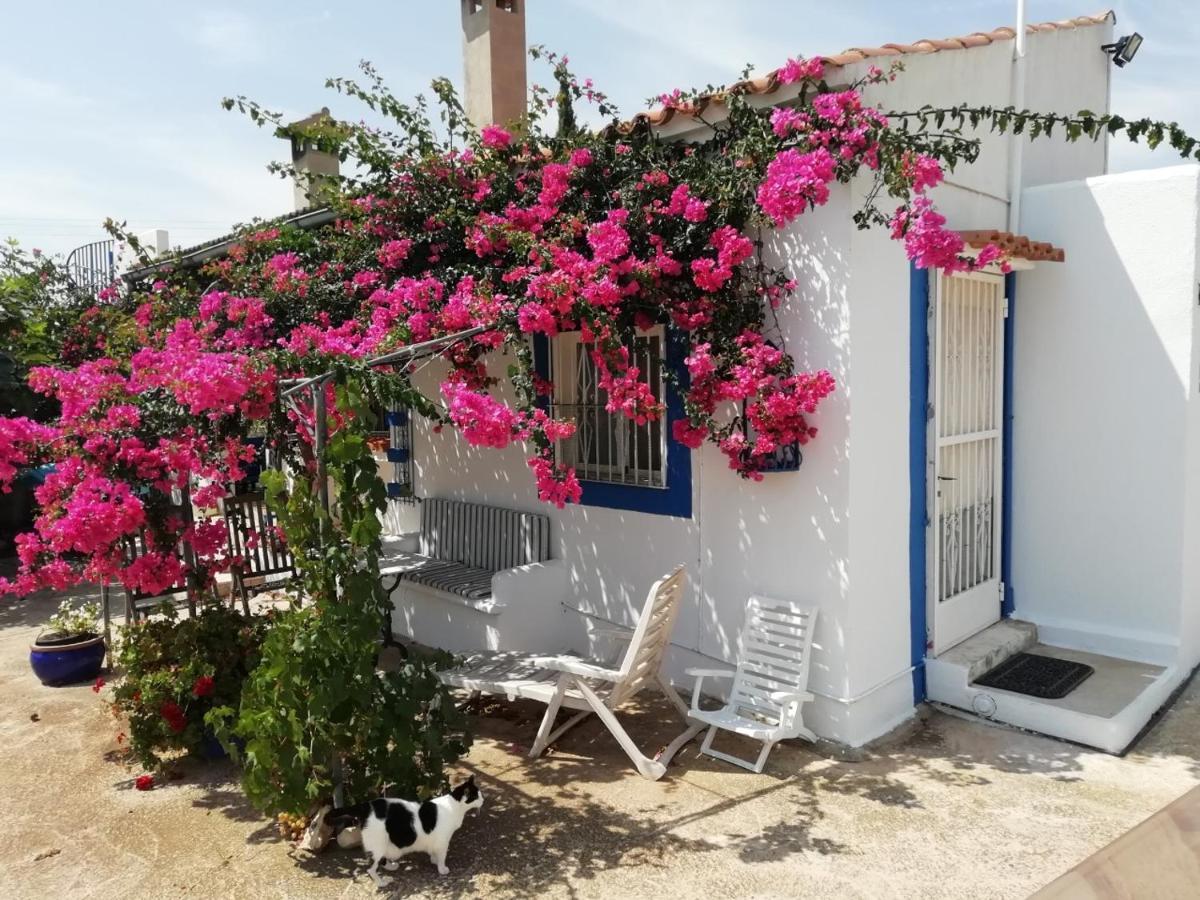 Finca La Joya Torreblanca Extérieur photo