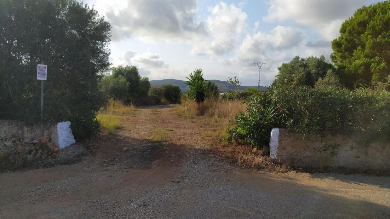 Finca La Joya Torreblanca Extérieur photo